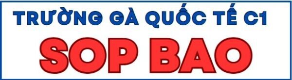 TRƯỜNG GÀ SOP BAO LÓNG SẬP HỆ THỐNG ĐÁ GÀ 368BET